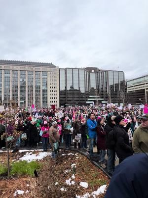 Hundreds gathered in NW for 2025 People’s March in DC —- will march toward Lincoln Memorial for rally #peoplesmarch #womensmarch @7NewsDC 