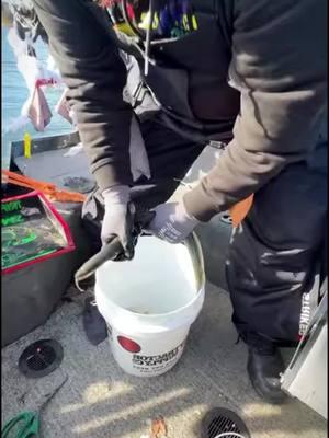 #fishing #amazingfishing #fishingvideos #bigfish #fishinglife #fishinglife #fisherman #fishingknot #usa #unitedstates #snowfishing #foryou #fyp #viral #viralvideo 