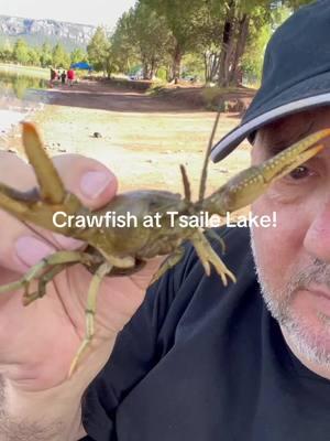 I think this is the crawfish that ate Tsaile Lake!😂😂😂🦞🦞🦞🦞🦞.   #crawfish #crawdads #navajonation #dìne 