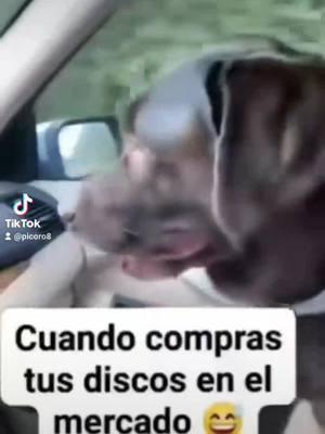 #risas#humor #comedia #nomamesweyyy #jajaja #lol #lavidaesbella #perros #dogs #paratiiiiiiiiiiiiiiiiiiiiiiiiiiiiiii #fypシ #paratii 