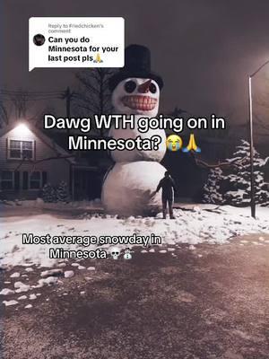 Replying to @Friedchicken on my last life 😭🙏 #fyp #fypシ #fypシ゚viral #foryou #foryoupage #pageforyou #minnesota #minnesotavikings #minnesotaweather #minnesotasnow #crazyweather #crazysnow #snowstorm #snowman #2022 #2022tiktok #2025 #meme #funny #funnyvideos #funnymoments #memesdaily #memestiktok #onlyinohio #ohiomemes @LIGHTS ARE OFF 