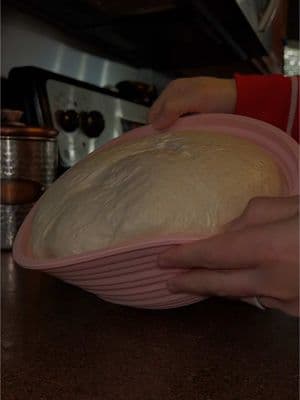 It’s a beautiful day, don’t let it get away. ☀️🫶🏻🍞🤎 #sourdoughtok #sourdoughbread #sourdough #MentalHealth #beautifulday #happyday #itsagoodday #positivevibes #cozyvibes #mamasoftiktok #texasmoms #homemaker #southernbelle 