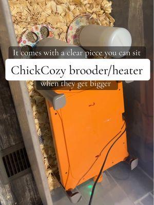 I need about 2 more 🐥🐓😂 @Chickcozy #fyp #chickcozy #farm #brooder #chickentok #chicken #chickenlover #chicks #crazychickenlady #2in1 #winter #farmtok #farmtip #Love #tip #besttiktokshopfinds #tiktokshopfinds #convenient 