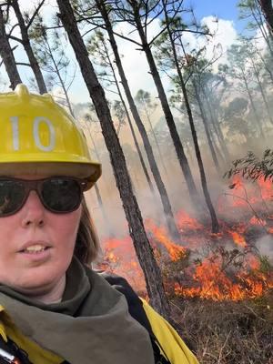 Couple back to back days of #burning 🔥 #wildlandfire #wildlandfirefightersoftiktok #controlledburn #prescribedfire #parkranger #floridalife #florida 