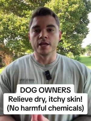 Save this video! #dog #dogsoftiktok #pet #PetsOfTikTok #allergies #allergyseason #allergy #itchy #petowner #dogowner #hack #hacks #LifeHack #lifehacks #tips #tipsandtricks 