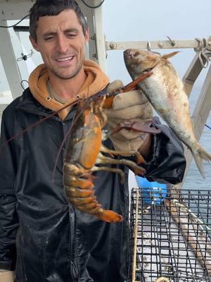 Replying to @grammierudy Still hoping for the hail mary, but if we lose tik tok I hope to see you guys over on the longform platform. I’ll also be on any of the popular shortform platforms. Thanks again, see you soon!! 🦞 #maine #lobster #fishing #barnacle #asmr #satasfying 