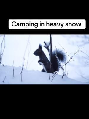 Camping in heavy snow #light #lamp #lantern #campinglife #camp #campinglife #camp #camping #campinglantern #foryoupage #america #usa🇺🇸 #tiktok #stove #wood #portable #outdoor #campinghacks #campingfood #campinggear #campingtents 