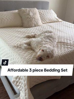 We sleep hot, this sleeps COOL! Literally ran back for a 2nd one! Grab this lightweight comforter and sham set for under $35 today plus Free Shipping!!! #beddingset #beddingsets #newbedding #comforter #neutralcomforter #modernbedding #affordablebedding 