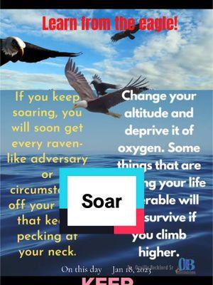 #onthisday #riseup#soar#jesus #lord #faith#hope#christiantiktok #orbministries 