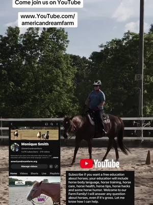 Come join us on YouTube www.YouTube.com/americandreamfarm #americandreamfarm #horse #learn #learnfromme #learnabouthorses #tiktokban #capcut #CapCut 