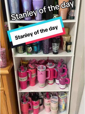 Let’s pick a Stanley for today. This is Parfait ombre, with a pink and white pearlescent finish. #stanley #stanleyoftheday #StanleyCup #stanleytumbler #cupcollector #stanleycollector #cuphunter 