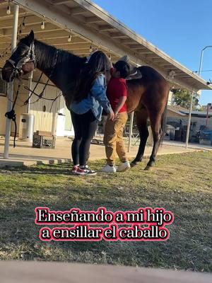 Ahora enseñarle cómo montar 😅 #caballo #ensillar #ensillarmicaballo #paratii #paratiiiiiiiiiiiiiiiiiiiiiiiiiiiiiii #paratipage #montar #montaracaballo 