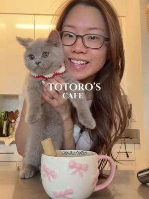 Good morning from Totoro 🤍 #britishshorthair #matcha #matchalatte #matchatutorial #earlgreymatcha #cutekitten 