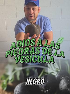 El Rábano Negro: El aliado natural para tu vesícula 🥗🌱 El rábano negro es conocido por ser un poderoso remedio natural para el cuidado de la vesícula biliar. Su riqueza en compuestos sulfurados y antioxidantes lo hace ideal para prevenir y tratar problemas relacionados con esta importante parte de nuestro sistema digestivo. Beneficios principales: 1. Estimula la producción de bilis: Mejora la digestión de grasas y alivia molestias en la vesícula. 2. Previene y ayuda a disolver cálculos biliares: Gracias a su efecto depurativo. 3. Propiedades desintoxicantes: Limpia el hígado y la vesícula de toxinas acumuladas. 4. Alivio de la inflamación: Ideal para problemas de vesícula inflamada. 5. Favorece la digestión: Reduce la sensación de pesadez después de comidas abundantes. Modo de uso: Jugo de rábano negro: Extrae el jugo de un rábano negro y tómalo en ayunas durante 10 días para un efecto depurativo. Infusión: Hierve rodajas de rábano negro en agua por 10 minutos, cuela y bebe tibio después de las comidas principales. ⚠️ Nota: Consulta a un especialista antes de usarlo si tienes cálculos biliares grandes o estás bajo algún tratamiento médico. --- #HerbolariaNatural #RábanoNegro #CuidadoDeLaVesícula #SaludDigestiva #RemediosNaturales #psyedson 