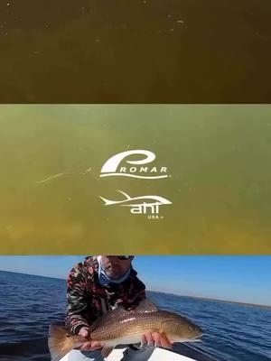 Redfish Action with Team Promar! Shop Promar & Ahi USA at promarahi.com #Redfish #Redfishing #Fishing