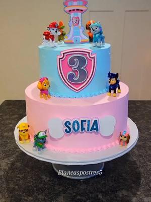 #pawpatrol #pawpatrolcake #fyp #lyndenwashington #pastelp #pastelespersonalizados #vanillacake #3lechescake #parati #reposteria #viralvideo 