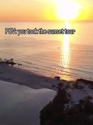 ⁉️DYK we have sunset tours nightly?!  🌅 We paddle out to an island only accessible via boat to watch amazing sunsets surrounded by a plethora of wildlife!  📍Shell Key Preserve, Florida (near St. Pete Beach) #sunset #thingstodostpete #visitflorida #thingstodointampabay #shellkey #shellkeypreserve #stpetebeach #sunsettour #datenight #adventuretravel #bottlenosedolphin #dolphin #floridasunset #wildlife