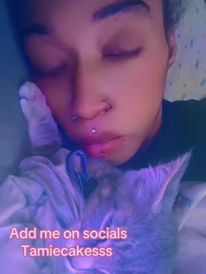 Even kitty is sad #goodbyetiktok #fypシ゚viral #tamiecakesss #addmeoninstagram #kitten 