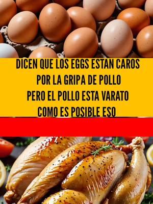 PORQUE EL POLLO ES MAS BARATO QUE LOS EGGS #eggs #chicken #inflation #farmeggs  #power #money 