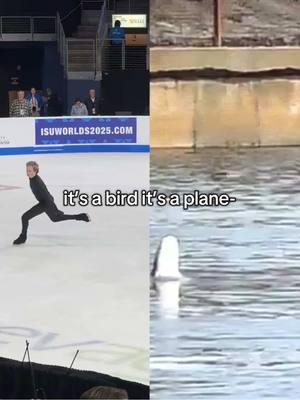 last post enjoy this quality content #iliamalinin  #quadgod#figureskating#funny#figureskatingtiktok#iceskatingtiktok#IceSkating  