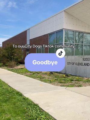 If you are looking to adopt a new best friend, come see us in person! 9203 Detroit Ave, Cleveland, Ohio 44102. You can view all our adoptable dogs and fill out a meet request through the link in our bio. We hope to see you on the other platforms!  🫶 #lasttiktokvideo #goodbyetiktok #fyp