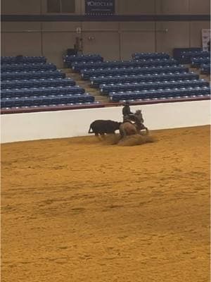 Back In The Blue doing what he does best!! #cowhorse  #roping #downthefence  