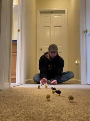 I’ve come to the conclusion that sweatshirt pockets make the perfect holding place to put buttons when I have no more room in my hands 😂🐣  - - - #babyanimals #cuteanimals #cutenessoverload #babyanimal #cute #foryoupage #fyp