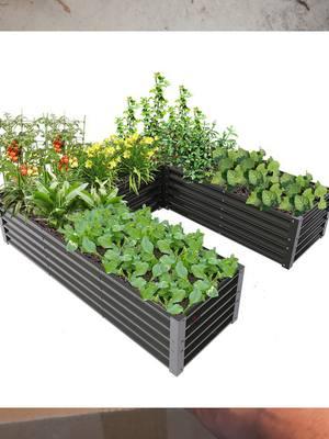 Transform your backyard into a lush, productive oasis with this raised garden bed! 🌿 Whether you're growing vegetables, herbs, or flowers, a raised garden bed makes gardening easier, more organized, and super rewarding. Watch to see how you can build one, what to plant, and the best tips for getting started! #RaisedGardenBed #GardeningHacks #diyprojectsneverend #HomeGarden #GrowYourOwn #BackyardGarden #VegetableGardening #OrganicLiving #GardeningTips #GreenLiving