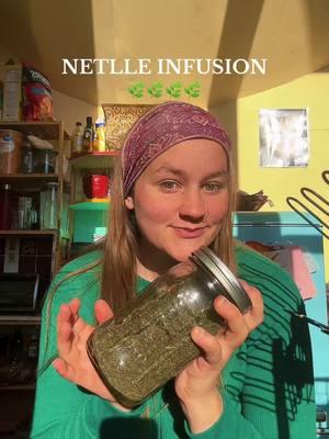 Nettle infusion: 3/4 nettle leafs  Fill  jar up with water let sit overnight or for at least 4hrs.  #nettleleaves #wildmothering #thirdtrimester #nettleinfusion #herbalmedicine  