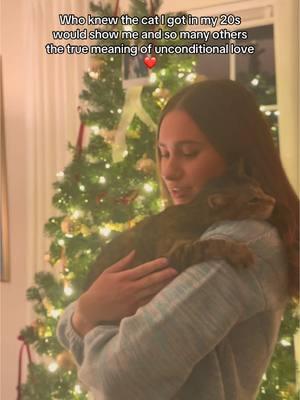 We’ll miss you 😔 follow on insta: gabmarygrasso 🫶🏻 #cats #catsoftiktok #cattok #tiktok #catlover #browntabby #tabby #girlcat #cuddlycat #clingycat #CapCut 