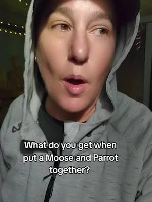 Moose brain and Repeat the Parrot. was too funny not to share. They still don't get it. #maga #drinkthejuice #moose #parrot #trumpsupporters #scary #notsmart #brainwashed #racist #mean #sheep 