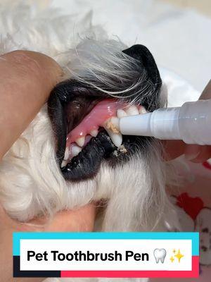 Pet Toothbrush Pen ✨️ 🦷  #brushingteeth #dogteeth #dogproducts #dogs 