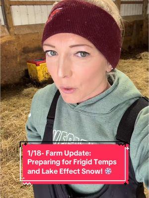 1/18- Farm Update: Preparing For Frigid Temperatures and Lake Effect Snow! #agwithkatiemitrowski #cattarauguscountyag #teachag #lakeeffectsnow #lifeofanagteacher #wny #gobills #lifeofanagteacher #hereford #herefordcattle #katahdin #katahdinsheep 