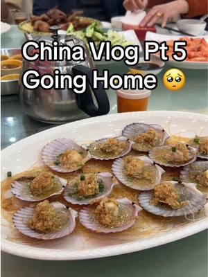 The last China vlog! Finally dinner with the whole family, some drinks, snacks, shopping, ear cleaning and more❤️ Thank you for following me along! I hope to go back to China end of next year 🫶🏼 Busy year coming up! #chinavlog #euphoricsun #Vlog #taishanchina 