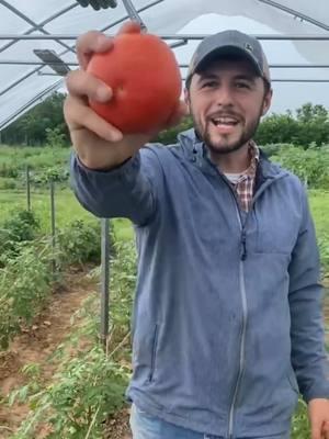 Not goodbye, just see you elsewhere. #growingtomatoes #gardeningtips #gardenfun #farmerfroberg 