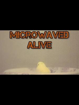 Being Microwaved Alive #morbidcuriosity #microwave #creepyfacts #morbid 