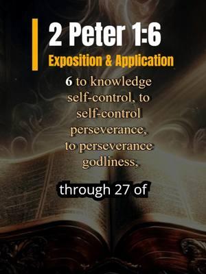 2 Peter 1:6 Mastering Self-Control and Endurance #bible #bibleverse #biblestudy #devotional #christiantiktok #wordofgod #TrueFaith #repent #gospel #scripture #CountTheCost #LivingForChrist #christian #biblicalwisdom #exposition #sermon #endtimes #2peter