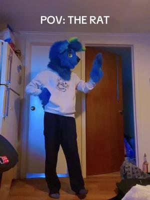 Probably my last tiktok it’s been a blast I love u all! #rat #furry #furryfandom #fursuiter #fursuiting #fox #furriesontiktok #dance 