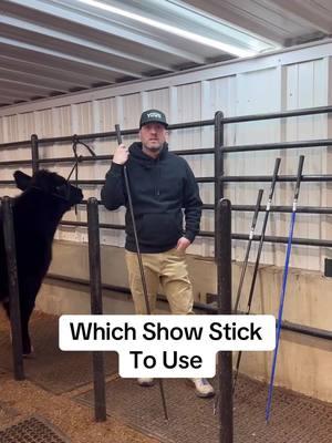 What length, color and material of show sticks we prefer, along with an extra show stick tip! #livestock #livestockshow #cattle #cattleshow #showcattle #ffa #4h #heifer #heifershow #steer #steershow #clippingcattle #showsteer #showheifer 