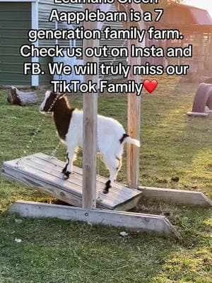 Check our farm out, come visit and meet all of the animals, pick some apples and enjoy a hayride! #leamansgreenapplebarn #7generationfarm #michiganfarmer #goats #centenialfarm #familyfarm #familybusiness 