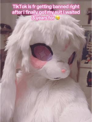 I fr can’t have shit 🥲 socials in bio!!  #fursuit #kemono #kemonofursuit #fursuiter #fursuiting #fursuitdance #kemonomimi #kemonofurry #kemonofurry #kemonosuit #kemonobunny #bunnyfursuit #bunnyfursona #bunnyfurry #fursona #furryfandom #furriesoftiktok 