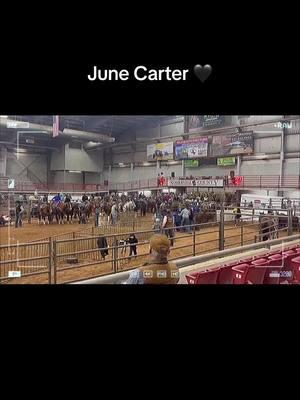 Got to run some on the new girl today… had a great day at the roping… thankful for great mentors and coaches… really working on my catch % lately! @Tacktical @Ranch Dressn @Prohats @NdjdesignsLeather #wildeyeranchhorses #eyeballbrand #wildeyeranch #foryou #fyp #buildingchampions #winnerswork #breakawayhorses #scoregoodgettgeneck 