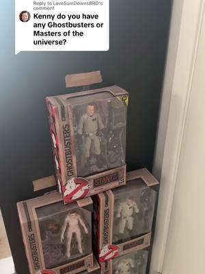 Replying to @LoveSumDownsBRO #kennyscollection #collection #collector #toyroom #actionfigures #collectortiktok #figtok #actionfigurecollector #actionfigurecollection #toycollector #toycollection #mastersoftheuniverse #ghostbusters 