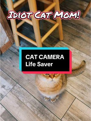 #furbo #catcamera #petcamera #cattreats #dogcamera 