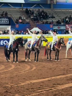 Some amazing acts we judged today at the contracts showcase! #ipra #ifr #ifr55 #trickriding #tricks #trickroping #rodeo #westernwear #rodeo #cowgirls #cowboys #rodeolife #stockcontractor #talent #horses #sparkles #american #show #showcase #competition 