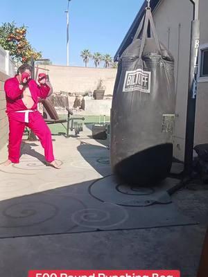 500 Pound Punching Bag Workout Part 292! Shotokan Karate Bag Work!  #fyp #shotokankarate #punchibgbag #fighttraining 