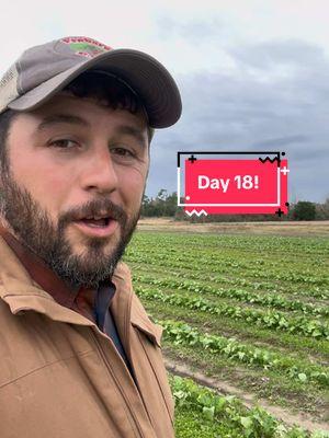 Day 18! #turnips #turnipthebeet #countdown #herecomesgoodbye 