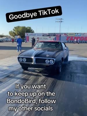 Goodbye TikTok! Please follow the other socials!  The last 2 are a joke….maybe👀 #tiktokamerica #savetiktoktrump #calfdaddy #bondobird #cartok #racecar #patina #shitbox #DIY #coyoteswap #coyoteswapped #l83 #satire #fyp #scarymovie @Anna Faris 