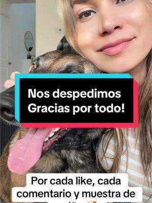 😞😞😞 gracias a todos, los vamos a extrañar #byebyetiktok #mandodemandalorian #lyrian_yizeth #pastorbelgamalinois #belgianmalinois #tiktokban #adiostiktok 