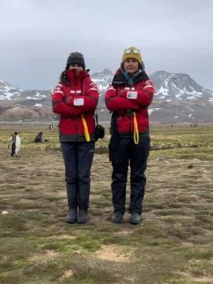 We are biologists not dancers okay 🤓 ft king penguins and fur seals in South Georgia. @Maggie Seida #penguin #kingpenguin #furseal #seal #antarctica #southgeorgia 